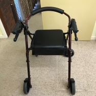 Mobility Walker