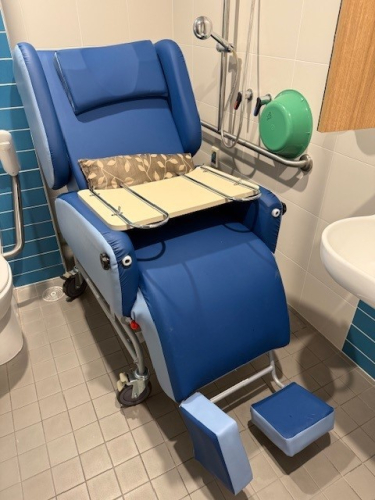 Princess Comfort Chair