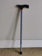 Walking Stick
