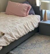 iCare King Single Gas Lift Electric Bed