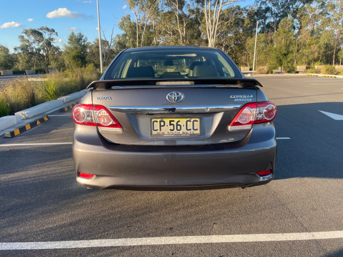 6980_img_8650