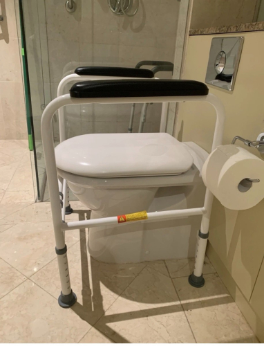 Toilet Safety Rail