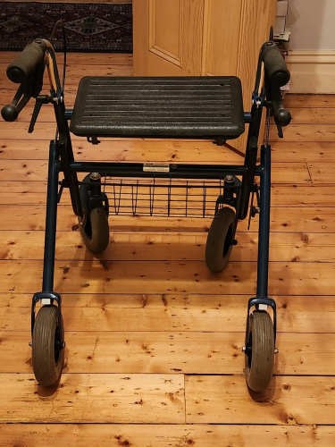 Mobility Walker
