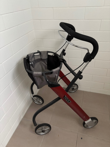 Trust Care Indoor Walker