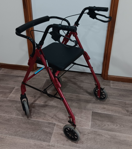 Walker with Wheels