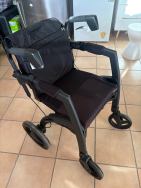 RollzMotion 2-in-1 Wheelchair/Walker