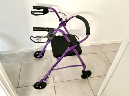 Mobility Walker