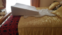 Bed Wedge
