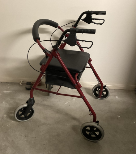 Wheelie Walker
