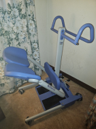 Sara Stedy Transfer Chair