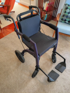 Rollz Motion 2-in-1 Walker Wheelchair