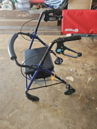 Mobility Walker