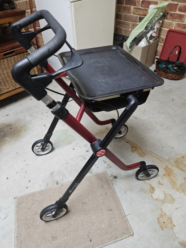 Indoor Walker With Tray