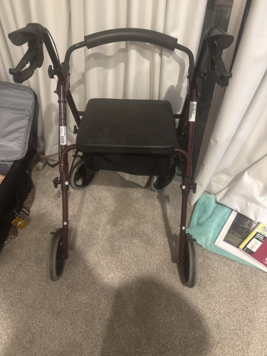 4 Wheel Walker - Wagner Brand