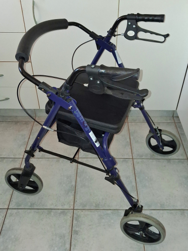 Mobility Walker