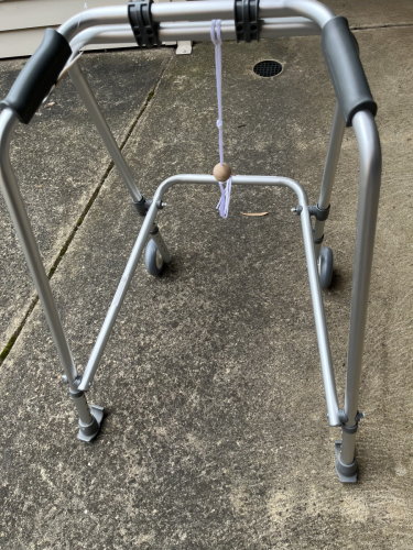 9874_img_0166
