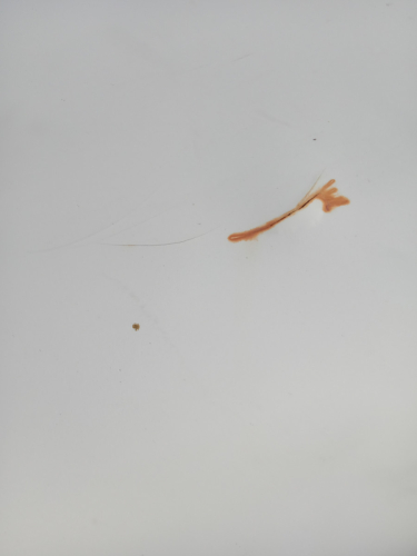 9959_img20260708141103_00